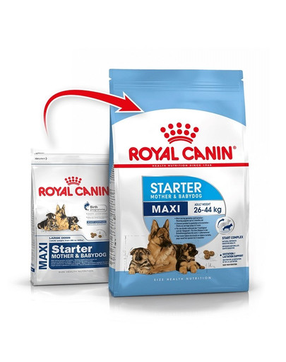 ROYAL CANIN Maxi Starter Mother&Babydog 15 kg + kuprinė NEMOKAMAI