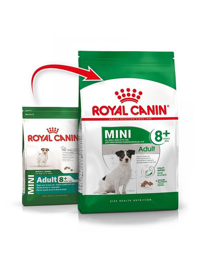 ROYAL CANIN Mini Adult 8+ 800 g sausas ėdalas mažų veislių vyresniems šunims nuo 8 iki 12 metų x 15