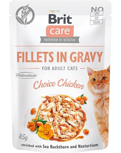 BRIT Care Fillets 24 x 85 g su vištiena padaže