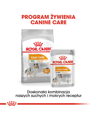 ROYAL CANIN Coat Care konservai 12 x 85 g