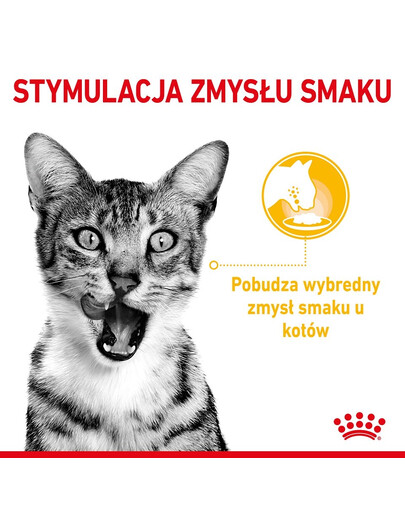 ROYAL CANIN Sensory Smell, Taste, Feel gabalėliai padaže katėms 12 x 85 g sensorinė stimuliacija