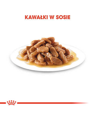 ROYAL CANIN Mini puppy 4x85 g drėgnas maistas su padažu šuniukams iki 10 mėnesių, mažų veislių