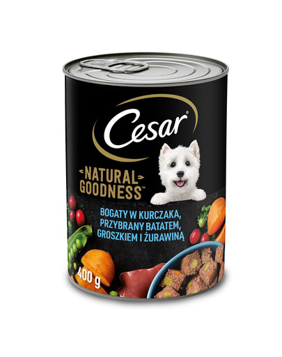 CESAR drėgnas šunų ėdalas 6 x 400 g