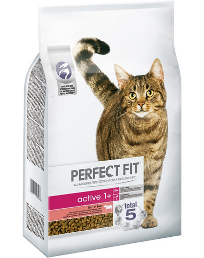 PERFECT FIT Active 1+ Jautienos turtingas suaugusių kačių ėdalas 7 kg