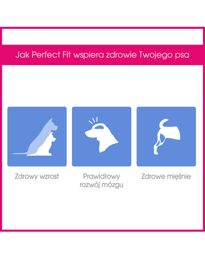 PERFECT FIT Junior (iki 1 metų) Daug vištienos vidutinių ir didelių veislių šunims 2 x 14,5 kg
