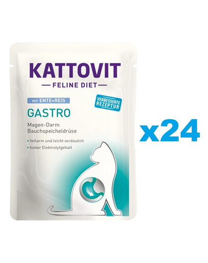 KATTOVIT Feline Diet Gastro antiena su ryžiais 24 x 85 g