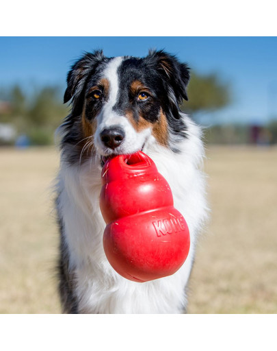 KONG šuns žaislas kramtymui bounzer medium 15cm