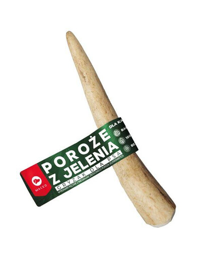 MACED ELNIO RAGAI ROZ. M