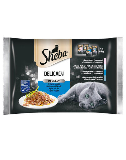 SHEBA Delicacy in Jelly Žuvies skonio želė suaugusių kačių ėdalas 13x(4x85g)