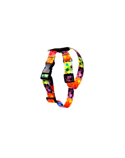 FERA Octagon petnešos šuniui su odos elementais 20 mm (36-60cm)