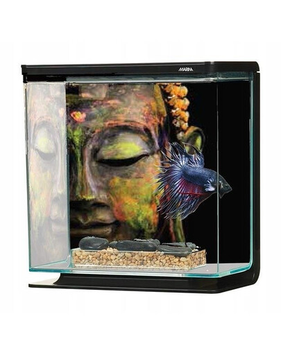 HAGEN "Marina Betta BUDDHA" akvariumas, 3 l