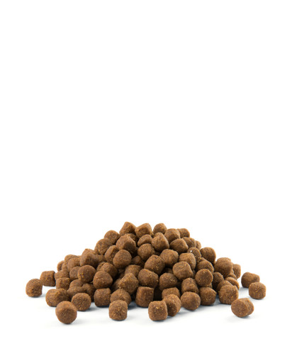 VERSELE-LAGA VERSELE LAGA Opti Life Puppy Sensitive maistas šuniukams su lašiša 12.5 kg