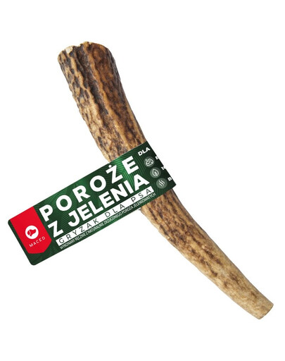 MACED ELNIO RAGAI ROZ. L