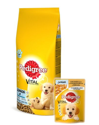 PEDIGREE Junior 15kg(vidutinės veislės) šunims su vištiena ir ryžiais + Junior konservai 24x100g