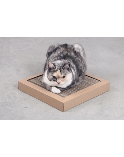 CARTON+ PETS Kartoninis kačių draskymo postas Tom