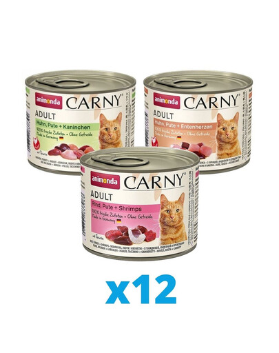 ANIMONDA Carny  3 skonių mišinys  36 x 200 g