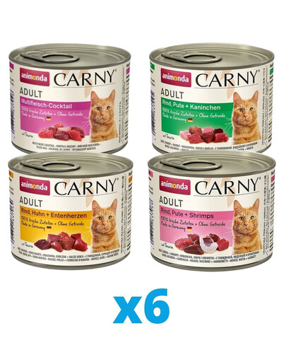 ANIMONDA Carny skonių mišinys 24 x 200 g