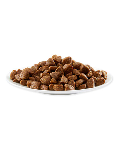 APPLAWS Dog Dry Adult mažų ir vidutinių veislių su vištiena 7,5 kg