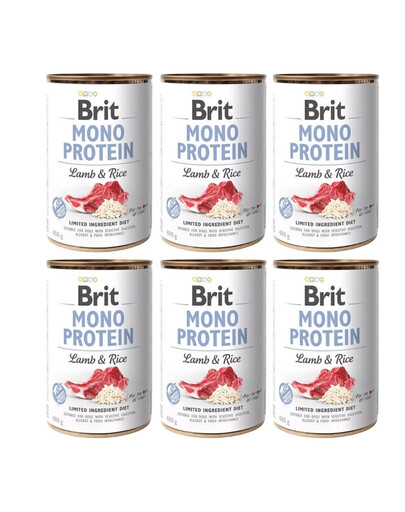BRIT Monoprotein Lamb & Rice 6x400 g Monoprotein Lamb & Rice maistas