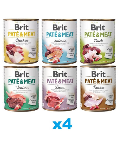 BRIT Pate&Meat Mix skoniai 24x800 g šunų paštetas