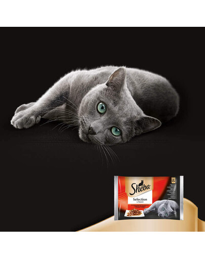 Sheba Selection In Sauce sultingo skonio 85 g X 16+8 dovana