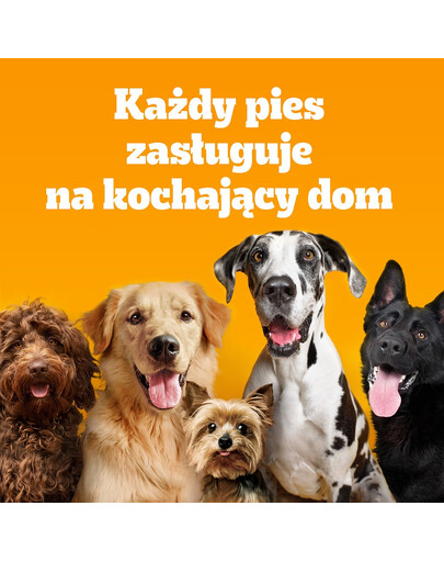 PEDIGREE Adult MINI 12x500 g su vištiena ir daržovėmis sausas visavertis pašaras suaugusiems mažų veislių šunims