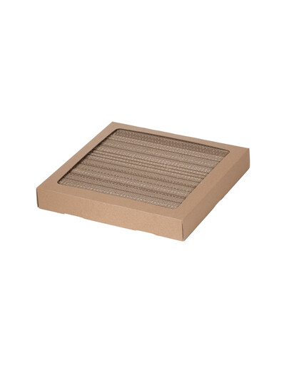 CARTON+ PETS namas draskykle katėms Netti