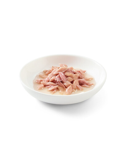 Schesir tunas savo padaže 50 g X 6