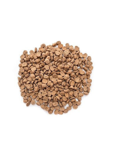SIMPLY FROM NATURE Oven Baked Dog Food with wild boar orkaitėje keptas maistas su šerniena 1,2 kg
