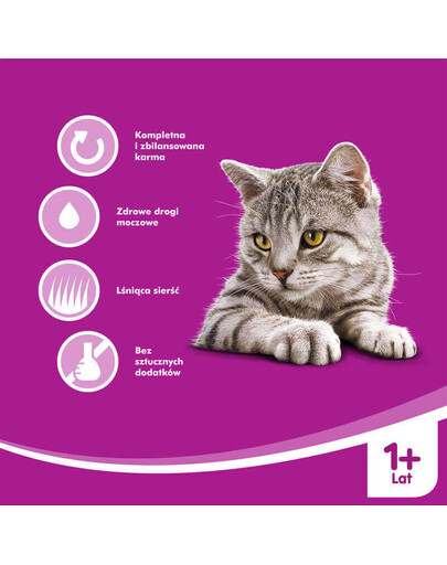 WHISKAS konservuotas maistas katėms su lašiša 100 g