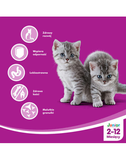 WHISKAS Suché krmivo junior kuřecí 300 g