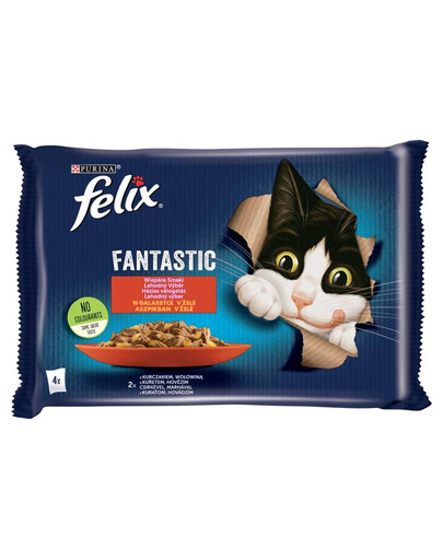 FRISKIES FANTASTIC Kaimo skoniai drebučiuose 48x85g drėgnas kačių maistas