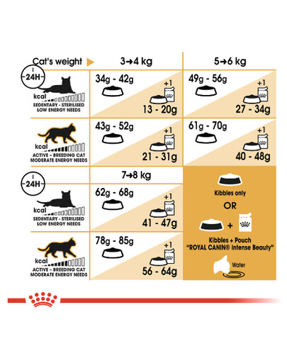 Royal Canin Ragdoll Adult 2 kg