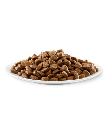 APPLAWS Cat Kitten Chicken 400g su vištiena