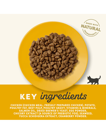 APPLAWS Cat Kitten Chicken 400g su vištiena