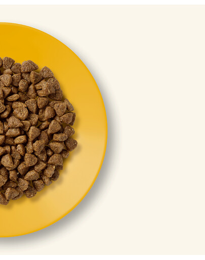 APPLAWS Cat Kitten Chicken 400g su vištiena