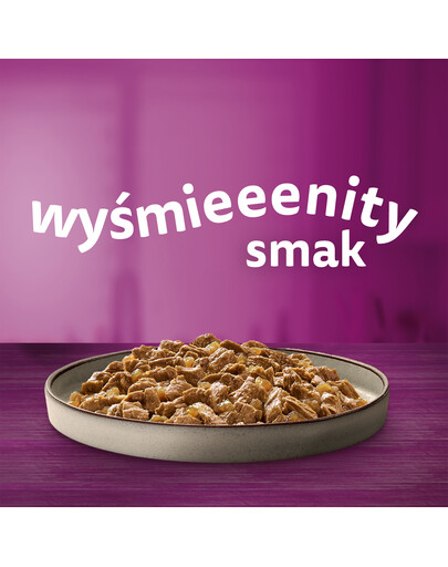 WHISKAS Adult 48x85g Paukštienos frikasė drėgnas kačių ėdalas su vištiena, kalakutiena, paukštiena, antiena