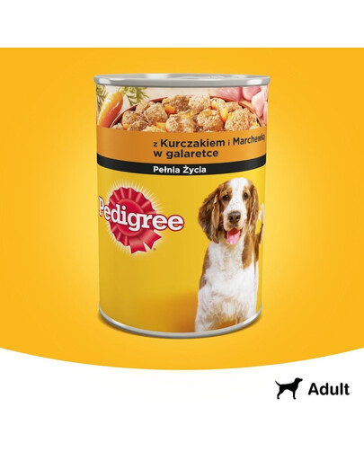 PEDIGREE Adult konservų dėžutė 400 g - drėgnas šunų ėdalas su vištiena ir morkomis drebučiuose