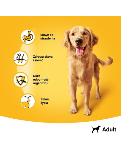 PEDIGREE Adult konservų dėžutė 400 g - drėgnas šunų ėdalas su vištiena ir morkomis drebučiuose