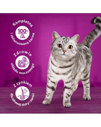 WHISKAS Adult 1,9 kg sucha karma pełnoporcjowa dla dorosłych kotów z pysznym tuńczykiem