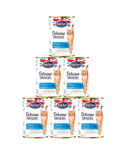 BUTCHER'S BUTCHER'S Delicious Dinners, karma dla kota, kawałki z pstrągiem w galaretce, 400g x 6