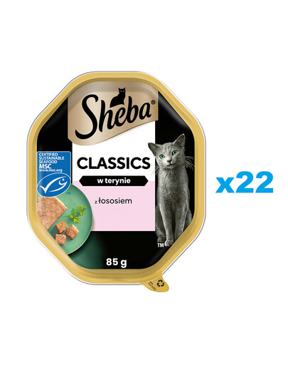 SHEBA Classics tacka 22x85 g mokra karma pełnoporcjowa dla dorosłych kotów z łososiem w terynie
