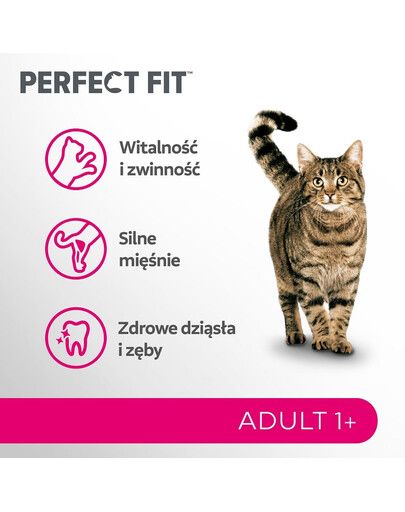 PERFECT FIT Adult 1+ 7 kg sausa visavertė maistas suaugusiems katėms, turintis šviežio lašišos