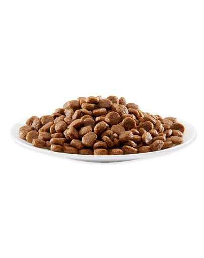 APPLAWS Cat Adult Chicken and Lamb 400 g kurczak i jagnięcina dla dorosłych kotów