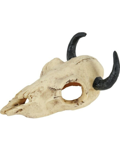 Dekoracja czaszka dinozaura model 1