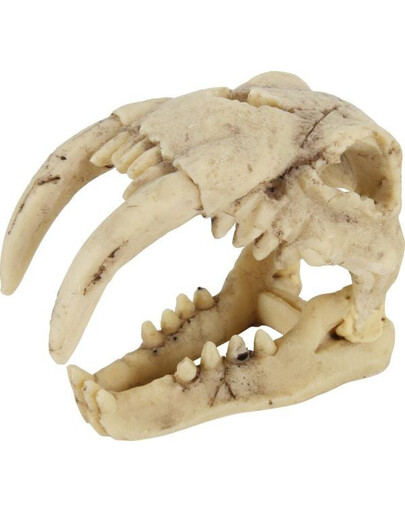 Dekoracja czaszka dinozaura model 4