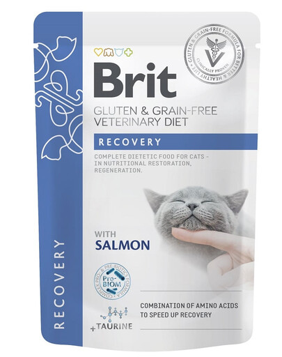 BRIT Veterinary Diet Grain Free Recovery Cat Fillets in Gravy Salmon 12x85g katėms reabilitacijos laikotarpiu