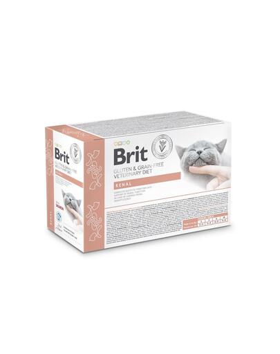 BRIT Veterinary Diet Grain Free Renal Cat Fillets in Gravy Salmon 12x85g katėms, palaikanti inkstų funkcijas