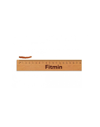 FITMIN For Life Salmon Jerky Lašiša mini juostelėms šunims ir katėms 70g