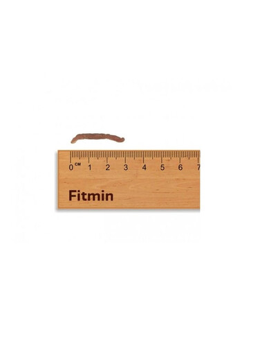 FITMIN For Life Chicken Jerky Vištienos džiovinti skanėstai šunims ir katėms 70 g